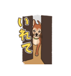 あずきとちゃちゃ（個別スタンプ：22）