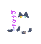 黒ソックスねこのソニャ（個別スタンプ：30）