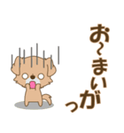 Happeve(無気力)‐toYvu-（個別スタンプ：40）