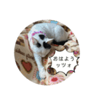 雨汐ちゃんスタンプ2022（個別スタンプ：1）