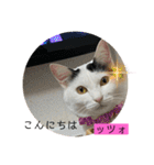 雨汐ちゃんスタンプ2022（個別スタンプ：2）