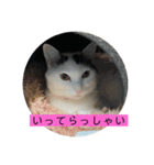 雨汐ちゃんスタンプ2022（個別スタンプ：4）