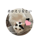 雨汐ちゃんスタンプ2022（個別スタンプ：5）