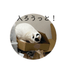雨汐ちゃんスタンプ2022（個別スタンプ：11）