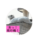 雨汐ちゃんスタンプ2022（個別スタンプ：12）