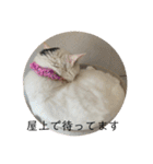 雨汐ちゃんスタンプ2022（個別スタンプ：15）