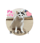 雨汐ちゃんスタンプ2022（個別スタンプ：16）