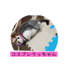 雨汐ちゃんスタンプ2022（個別スタンプ：17）