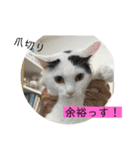 雨汐ちゃんスタンプ2022（個別スタンプ：18）