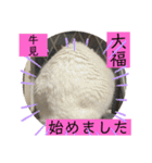 雨汐ちゃんスタンプ2022（個別スタンプ：19）