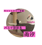 雨汐ちゃんスタンプ2022（個別スタンプ：20）