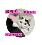 雨汐ちゃんスタンプ2022（個別スタンプ：21）