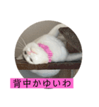 雨汐ちゃんスタンプ2022（個別スタンプ：22）