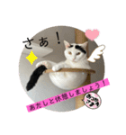 雨汐ちゃんスタンプ2022（個別スタンプ：24）