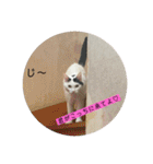 雨汐ちゃんスタンプ2022（個別スタンプ：26）