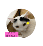 雨汐ちゃんスタンプ2022（個別スタンプ：27）