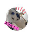 雨汐ちゃんスタンプ2022（個別スタンプ：28）