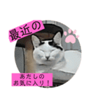 雨汐ちゃんスタンプ2022（個別スタンプ：29）
