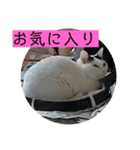 雨汐ちゃんスタンプ2022（個別スタンプ：32）