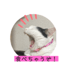 雨汐ちゃんスタンプ2022（個別スタンプ：33）