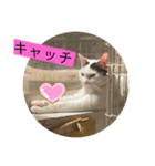 雨汐ちゃんスタンプ2022（個別スタンプ：34）