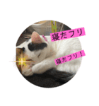 雨汐ちゃんスタンプ2022（個別スタンプ：37）