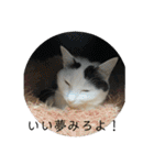 雨汐ちゃんスタンプ2022（個別スタンプ：39）