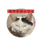 雨汐ちゃんスタンプ2022（個別スタンプ：40）