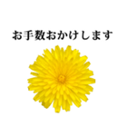 黄色い お花 と 敬語（個別スタンプ：2）