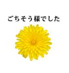 黄色い お花 と 敬語（個別スタンプ：5）