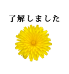 黄色い お花 と 敬語（個別スタンプ：7）
