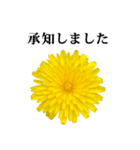 黄色い お花 と 敬語（個別スタンプ：9）