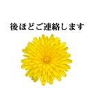 黄色い お花 と 敬語（個別スタンプ：10）