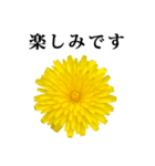黄色い お花 と 敬語（個別スタンプ：11）