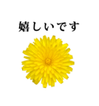 黄色い お花 と 敬語（個別スタンプ：12）