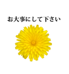 黄色い お花 と 敬語（個別スタンプ：13）
