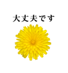 黄色い お花 と 敬語（個別スタンプ：15）