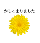 黄色い お花 と 敬語（個別スタンプ：16）