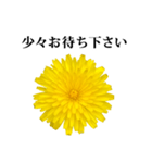 黄色い お花 と 敬語（個別スタンプ：17）