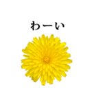 黄色い お花 と 敬語（個別スタンプ：18）
