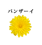 黄色い お花 と 敬語（個別スタンプ：19）