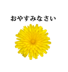 黄色い お花 と 敬語（個別スタンプ：22）