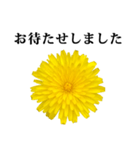 黄色い お花 と 敬語（個別スタンプ：23）