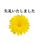 黄色い お花 と 敬語（個別スタンプ：24）