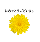 黄色い お花 と 敬語（個別スタンプ：25）