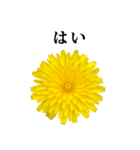 黄色い お花 と 敬語（個別スタンプ：26）