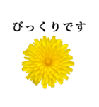 黄色い お花 と 敬語（個別スタンプ：27）