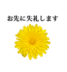 黄色い お花 と 敬語（個別スタンプ：28）