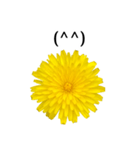 黄色い お花 と 敬語（個別スタンプ：29）