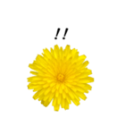 黄色い お花 と 敬語（個別スタンプ：30）